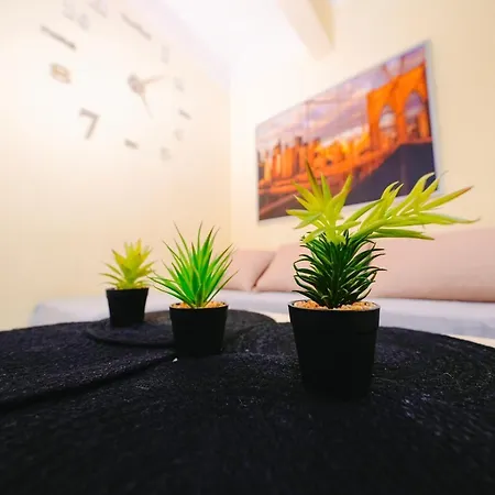 Center Cosy شقة *